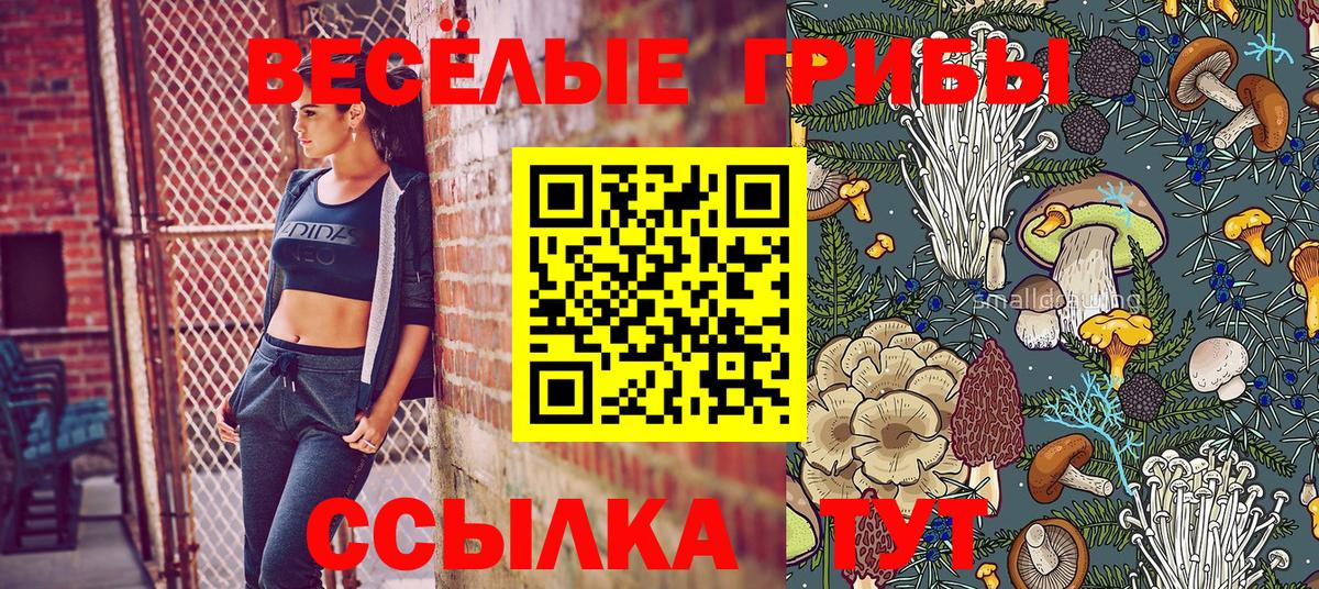 Псилоцибиновые грибы Psilocybe  Псилоцибиновые грибы прущие грибы  Северобайкальск  Вход с VPN 