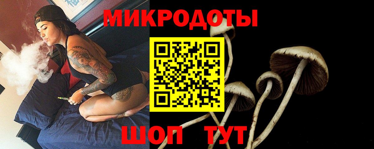Галлюциногенные грибы мицелий Северобайкальск
